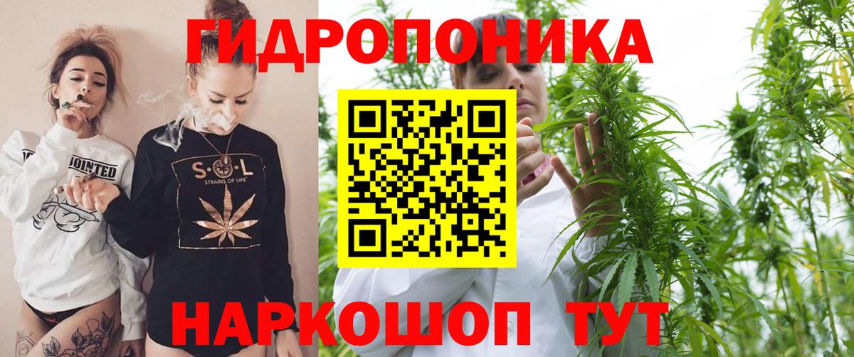 Каннабис ГИДРОПОН  Каннабис Ganja  Качканар  Вход с VPN  Конопля SATIVA & INDICA  Бошки марихуана семена 